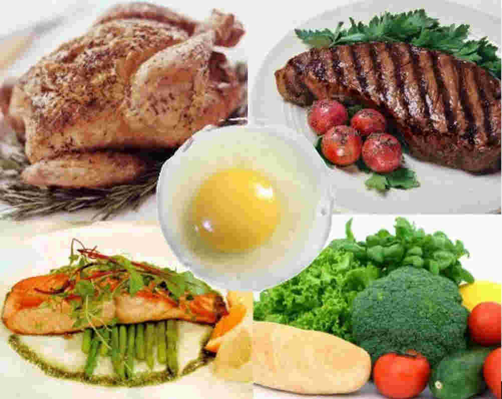 Dieta da Proteína