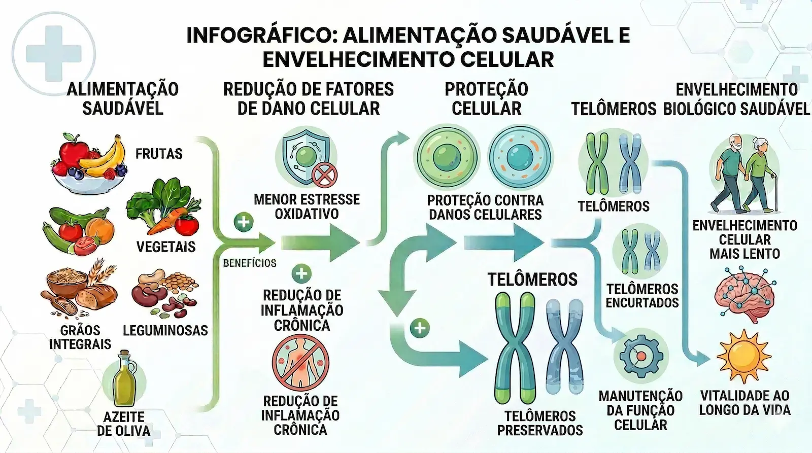  Infográfico mostrando como alimentação saudável influencia circulação cerebral e função cognitiva ao longo da vida.