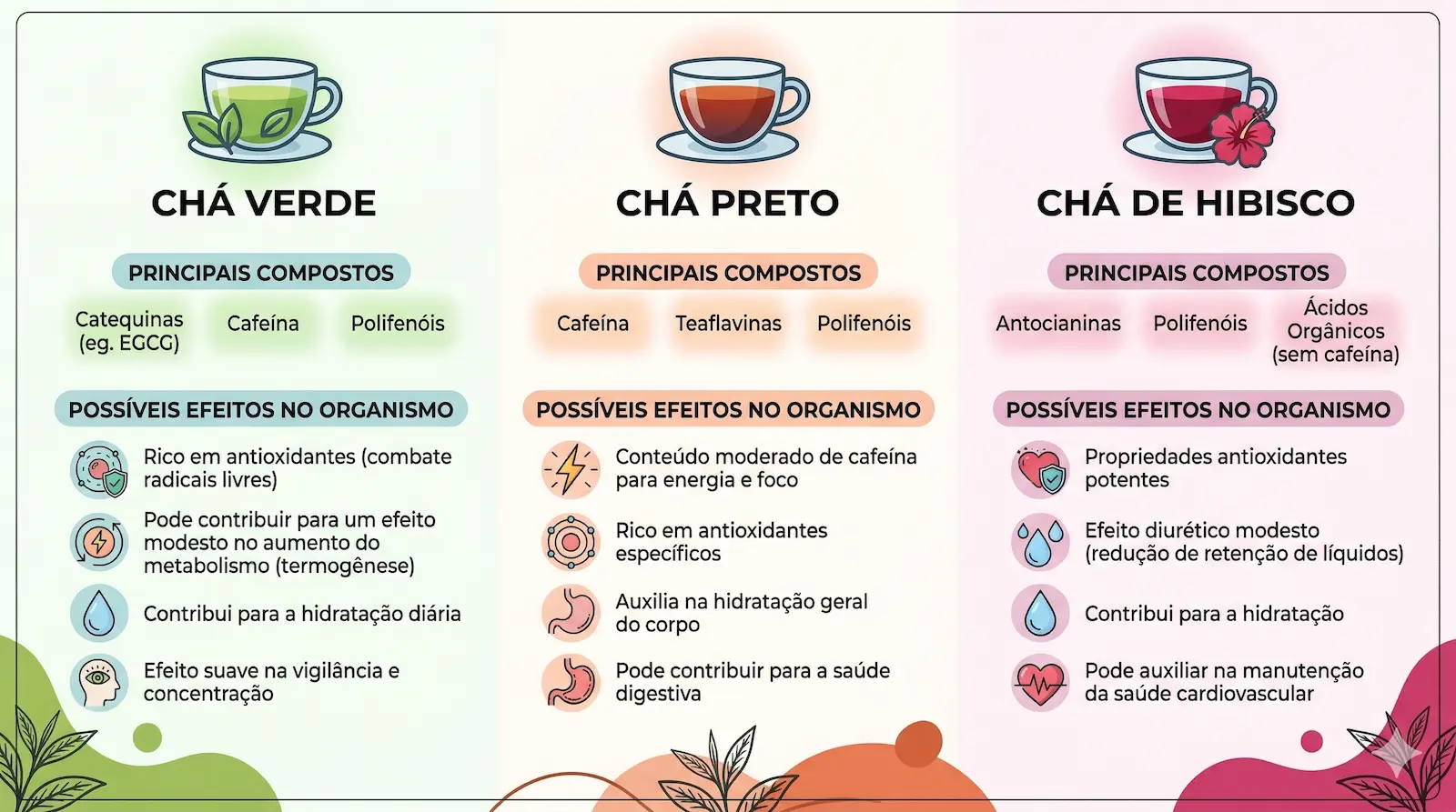Infográfico comparando chá verde, chá preto e chá de hibisco, mostrando compostos e possíveis efeitos no organismo relacionados à saúde e metabolismo