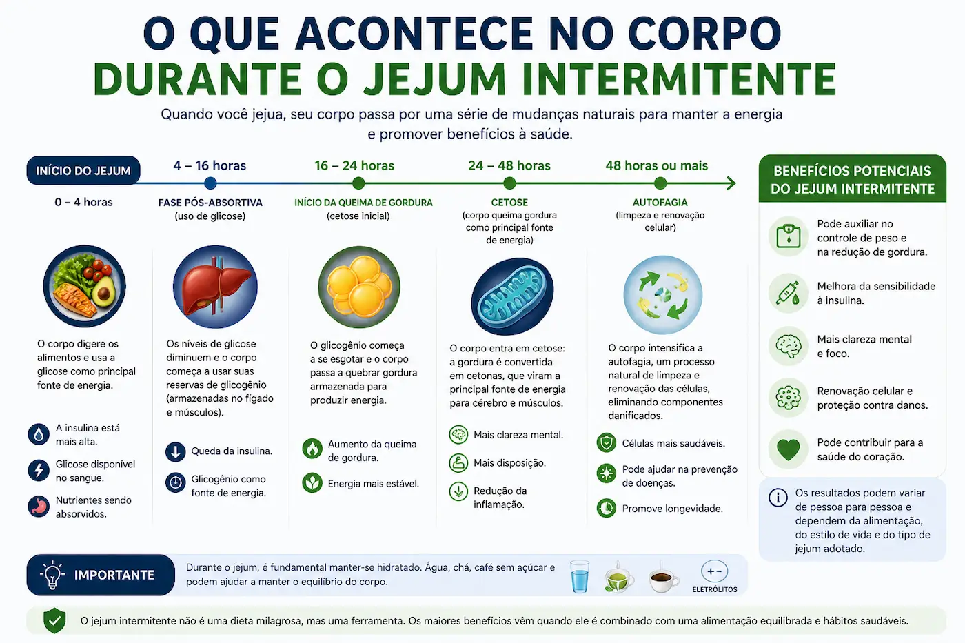 O que é jejum intermitente e como funciona a janela alimentar