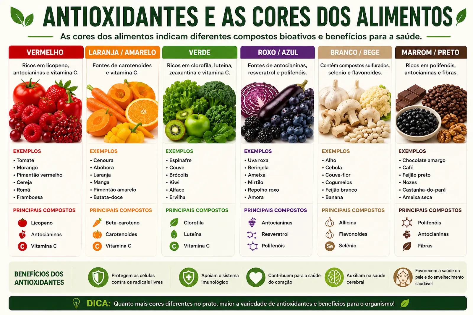 Prato colorido com alimentos antioxidantes organizados por cor e grupo alimentar