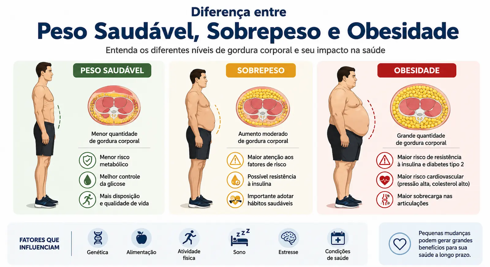 Diferença entre peso saudável sobrepeso e obesidade representando diferentes níveis de gordura corporal