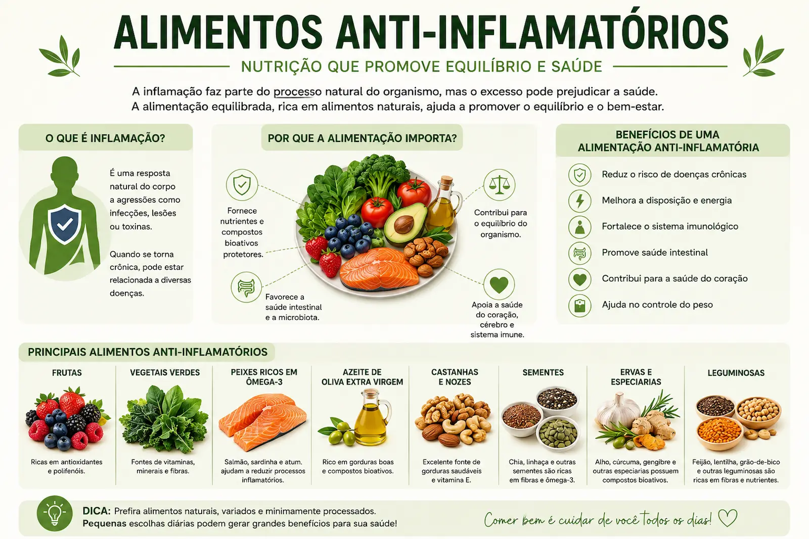 Principais alimentos anti-inflamatorios incluindo frutas vegetais azeite peixes castanhas sementes e leguminosas