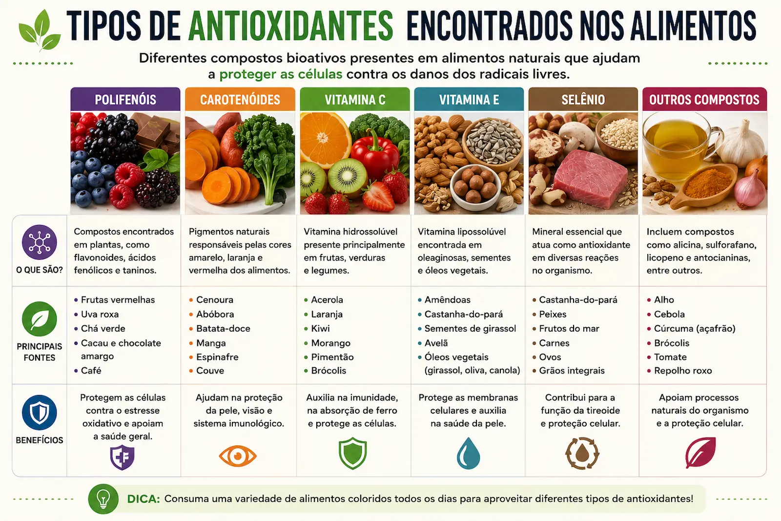 Comparação entre vitamina C vitamina E carotenoides polifenóis e selênio presentes nos alimentos