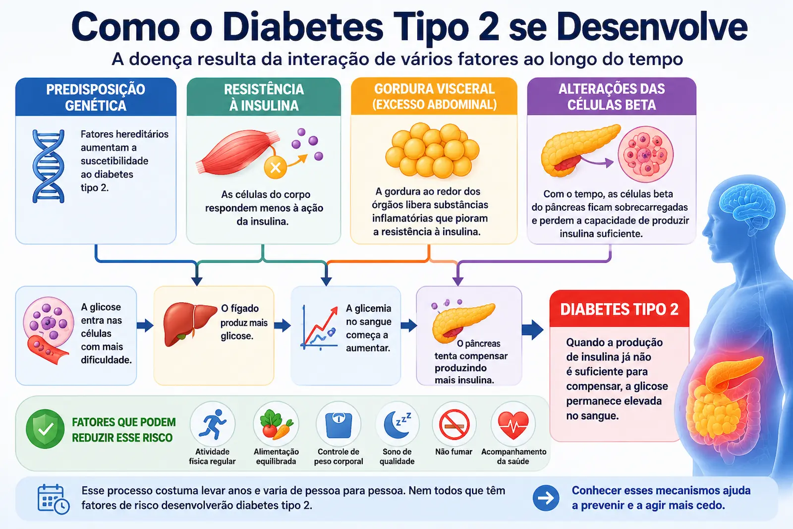 Fluxograma mostrando como predisposição genética, resistência à insulina, gordura visceral e alterações das células beta podem contribuir para o desenvolvimento do diabetes tipo 2.