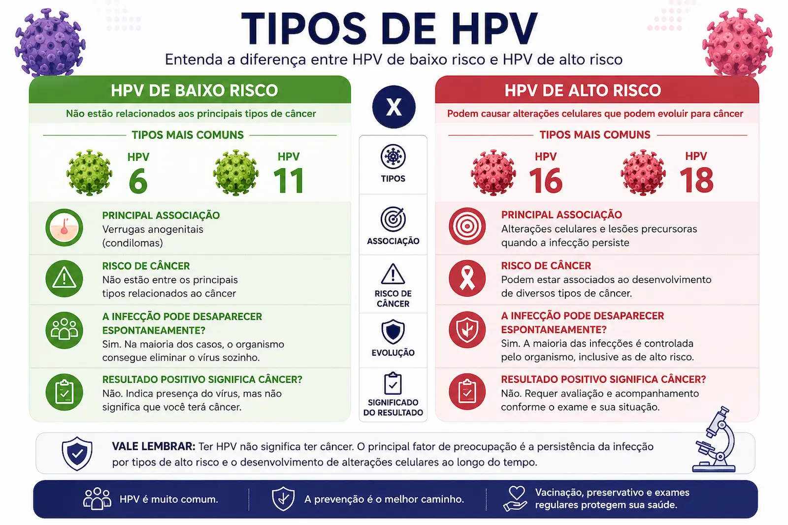 Tipos de HPV: baixo risco e alto risco Infográfico comparando HPV de baixo risco e HPV de alto risco, incluindo os tipos 6, 11, 16 e 18