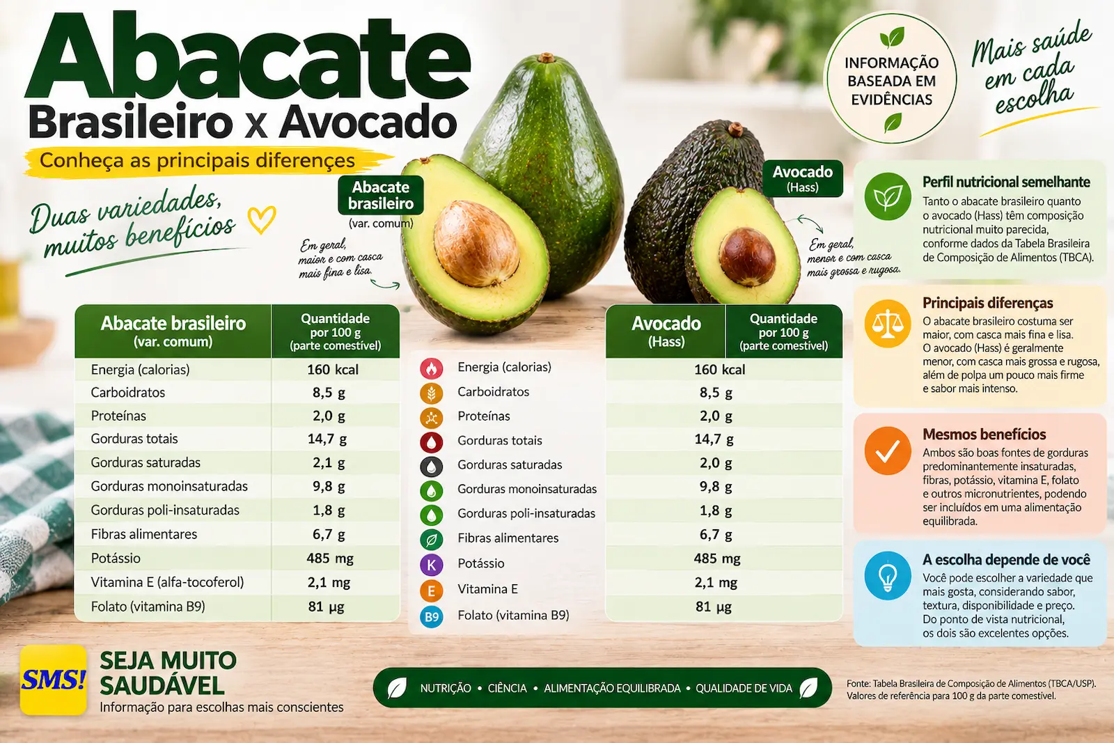 Comparação entre abacate brasileiro e avocado mostrando diferenças de tamanho e composição