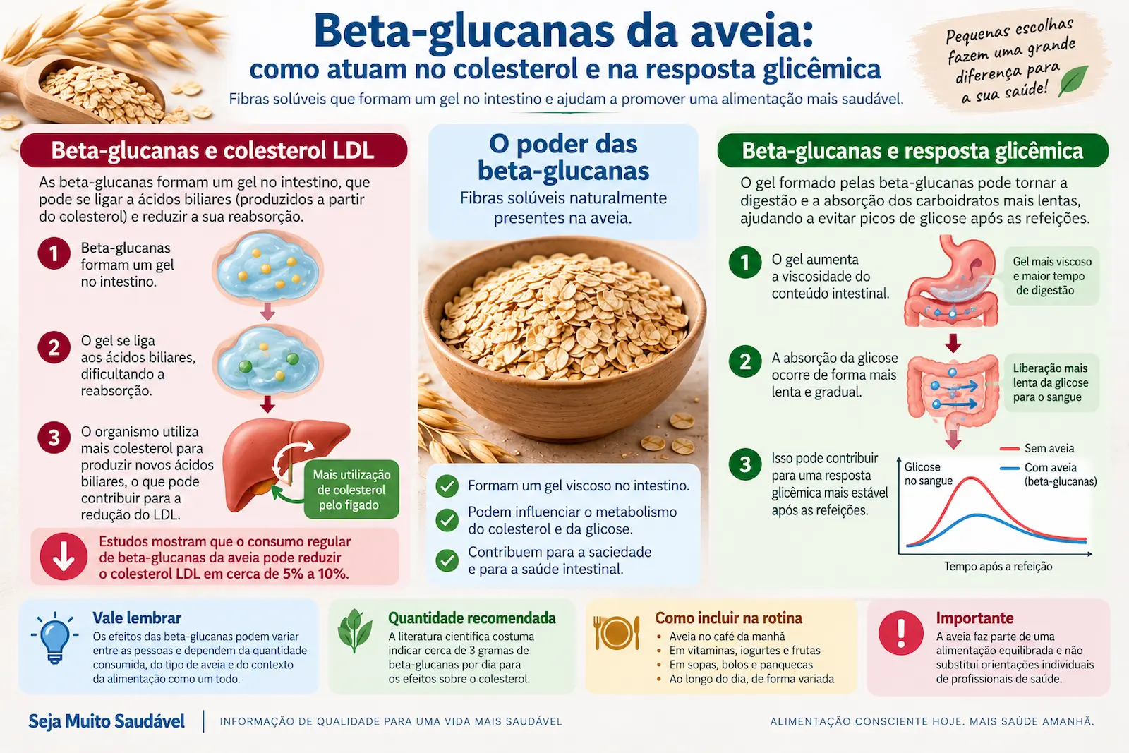 Infográfico explicando a relação das beta-glucanas da aveia com colesterol LDL e resposta glicêmica após as refeições