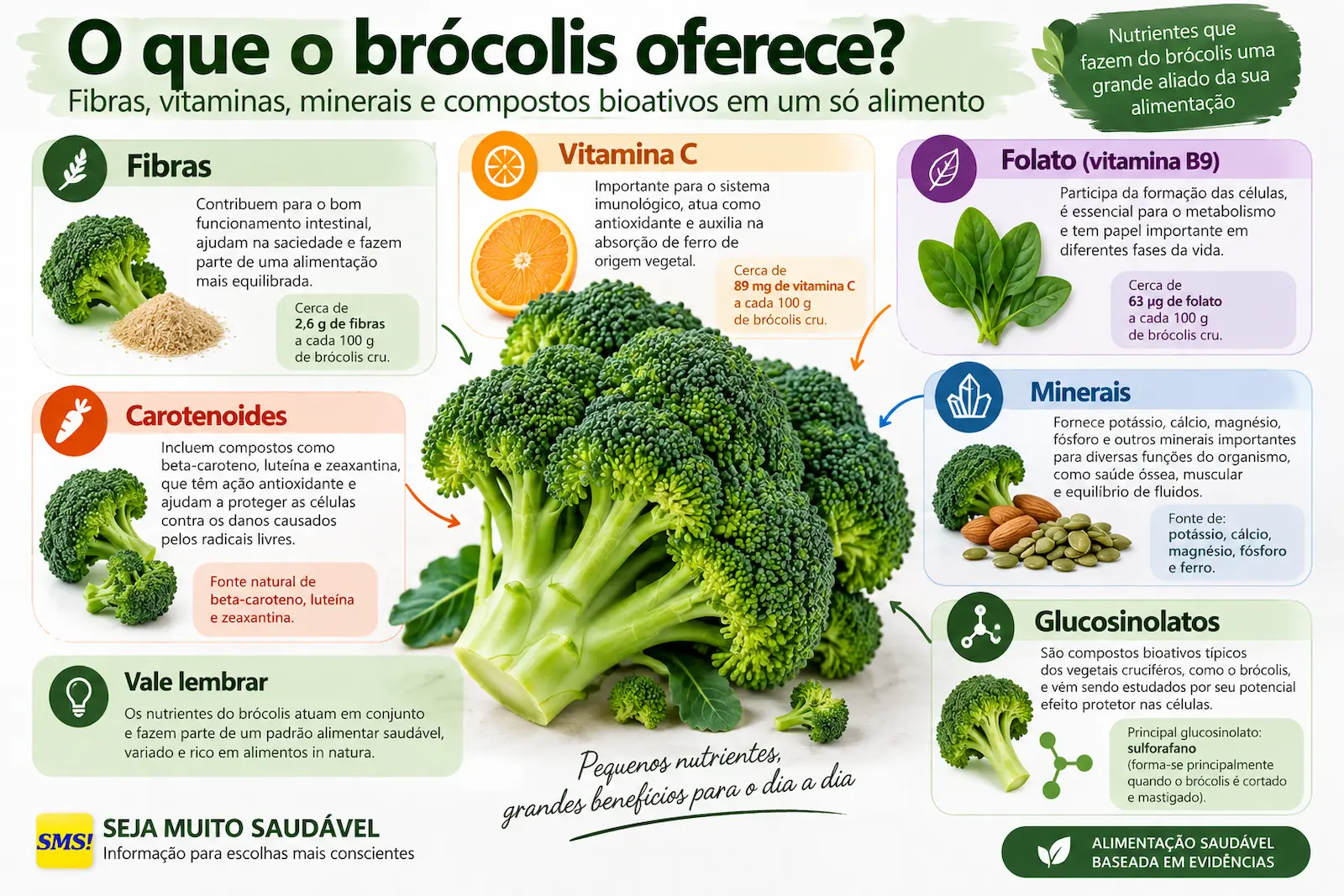 Infográfico mostrando fibras, vitamina C, folato, carotenoides, minerais e glucosinolatos presentes no brócolis