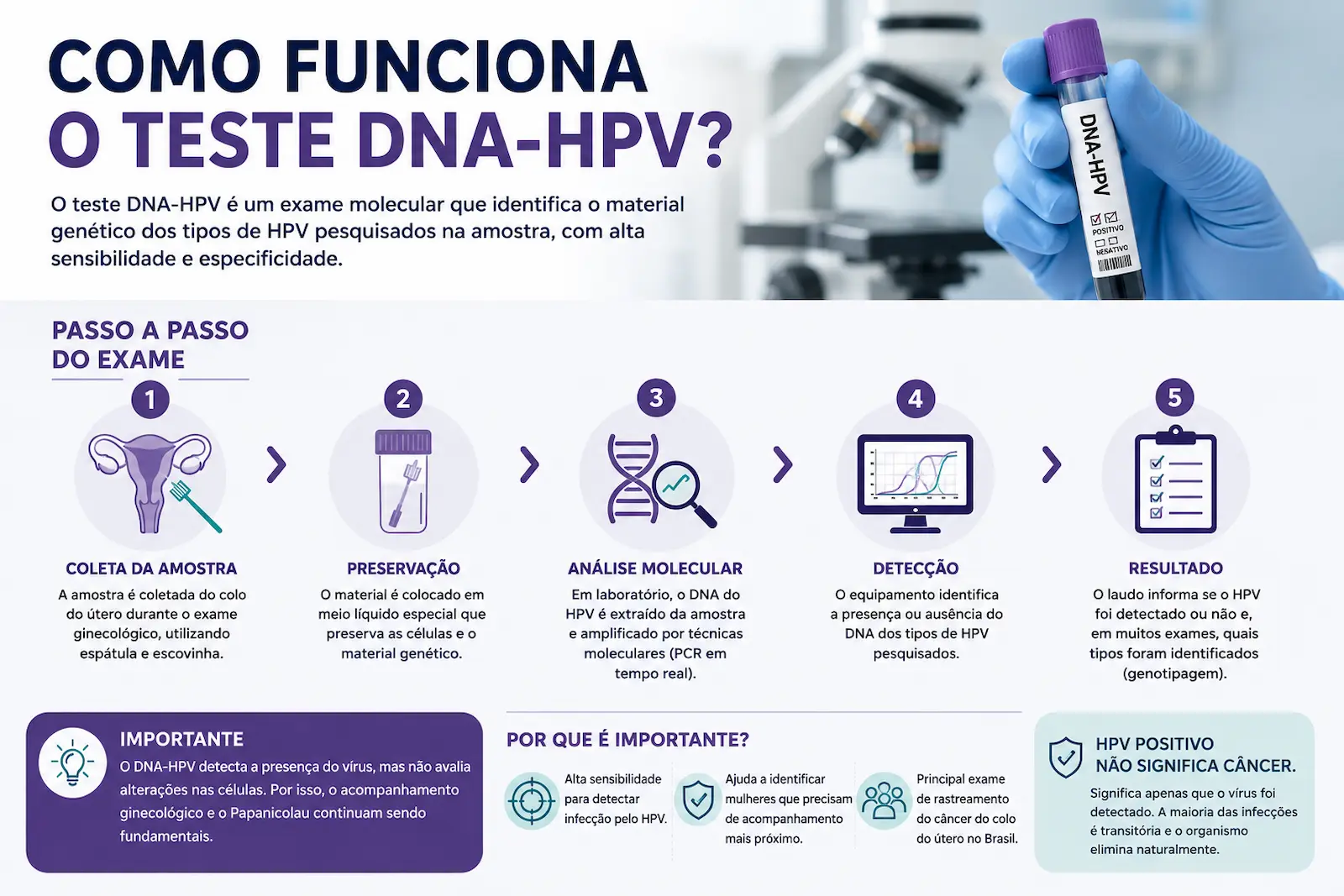 Como funciona o teste DNA-HPV passo a passo Como funciona o teste DNA-HPV com passo a passo da coleta, análise molecular, detecção do vírus e resultado
