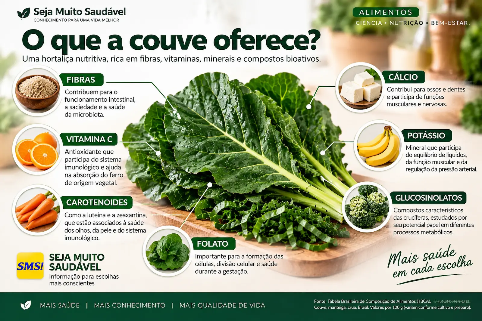 Infográfico mostrando fibras, vitamina C, carotenoides, folato, cálcio, potássio e glucosinolatos presentes na couve